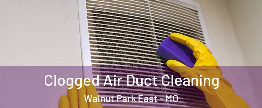 Clogged Air Duct Cleaning Walnut Park East - MO