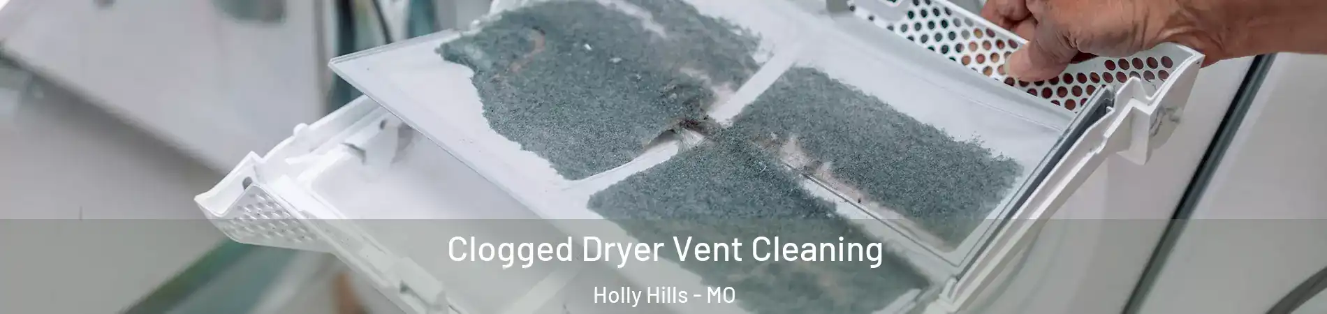 Clogged Dryer Vent Cleaning Holly Hills - MO
