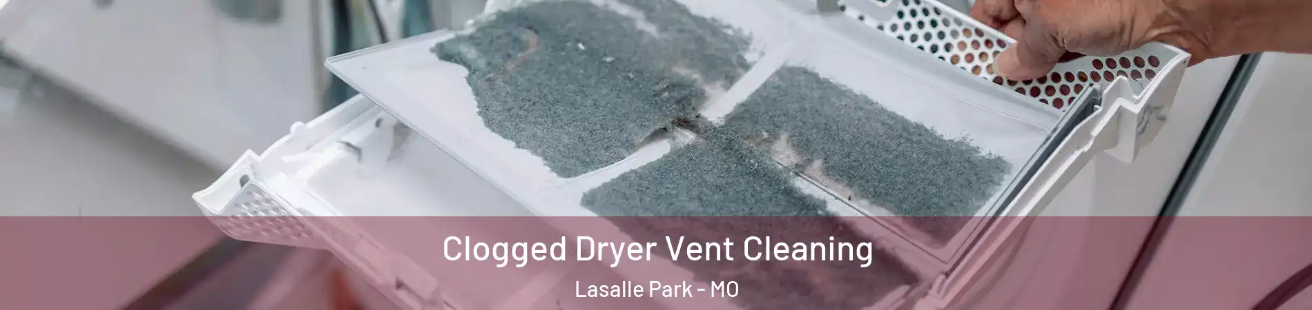 Clogged Dryer Vent Cleaning Lasalle Park - MO