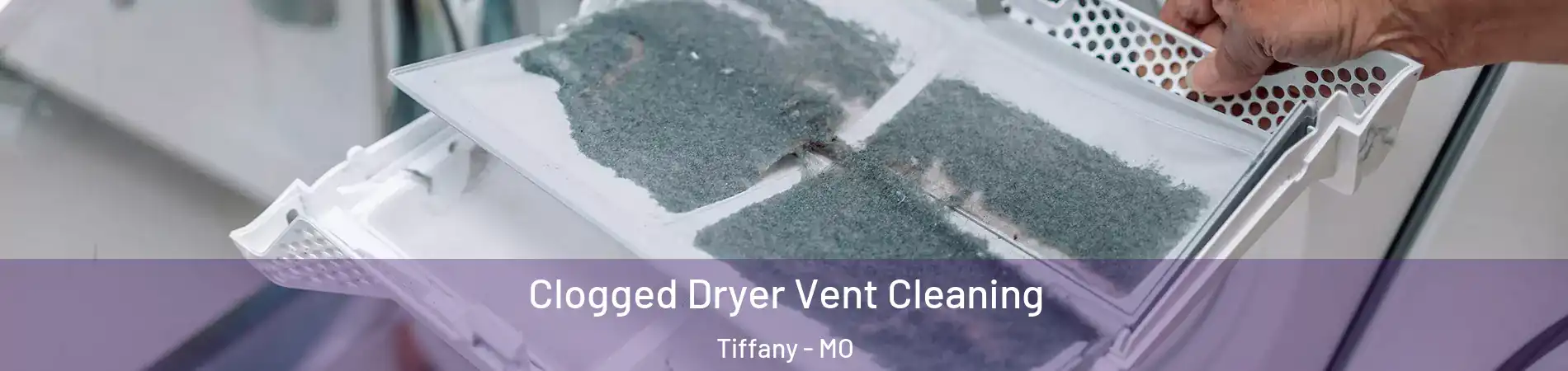 Clogged Dryer Vent Cleaning Tiffany - MO