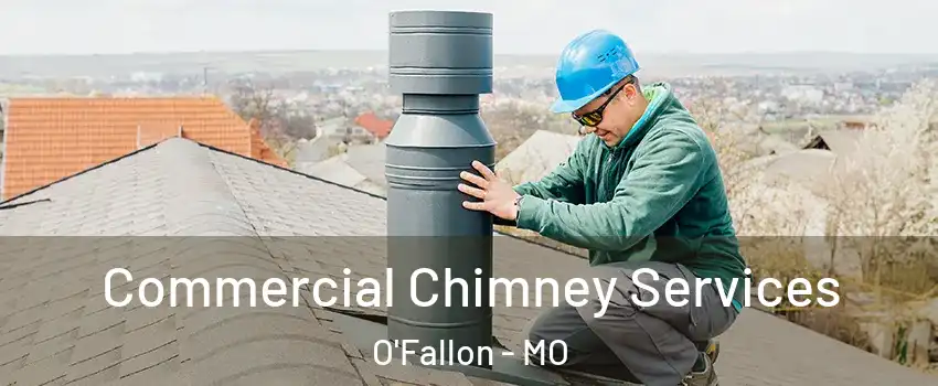 Commercial Chimney Services O'Fallon - MO