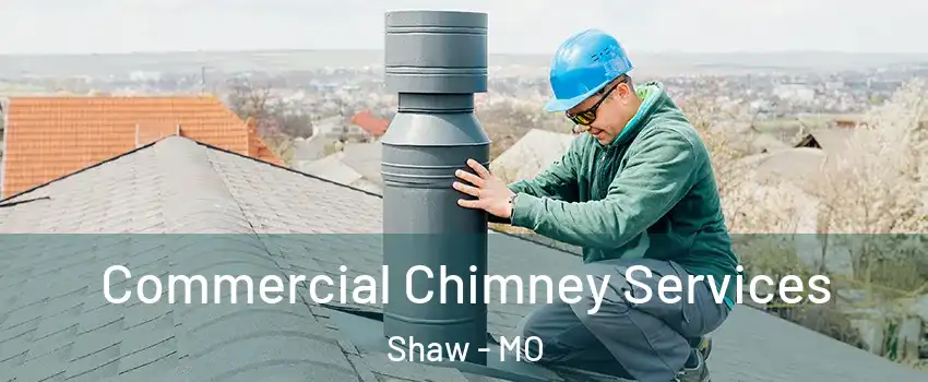 Commercial Chimney Services Shaw - MO