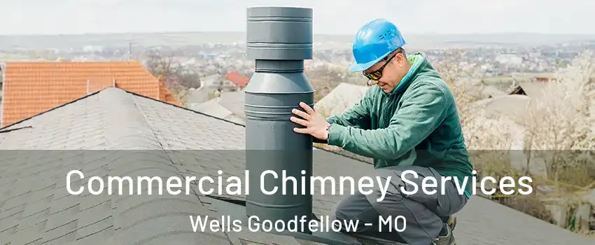 Commercial Chimney Services Wells Goodfellow - MO