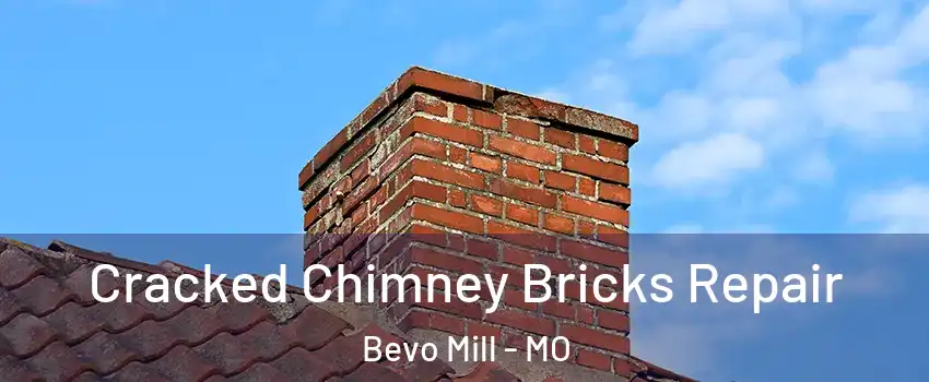 Cracked Chimney Bricks Repair Bevo Mill - MO