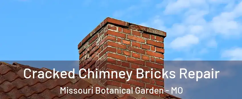 Cracked Chimney Bricks Repair Missouri Botanical Garden - MO