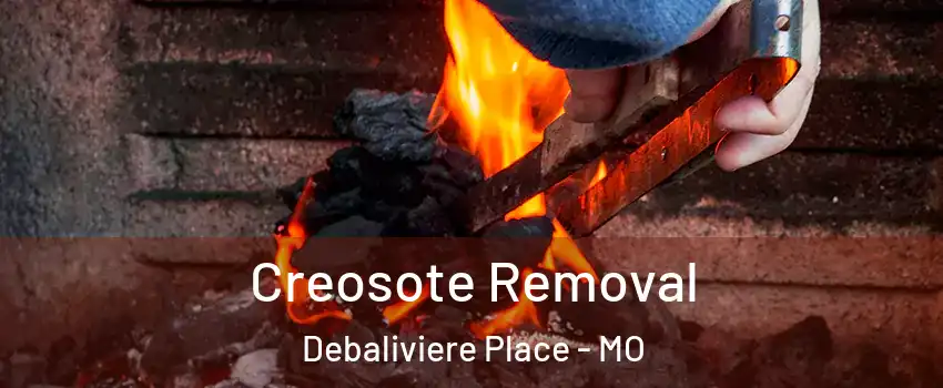 Creosote Removal Debaliviere Place - MO