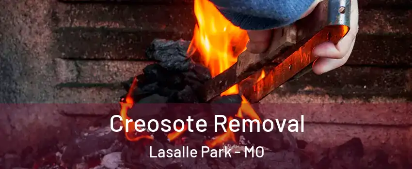 Creosote Removal Lasalle Park - MO