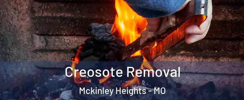 Creosote Removal Mckinley Heights - MO