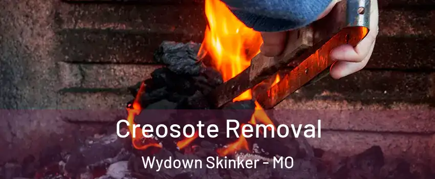 Creosote Removal Wydown Skinker - MO