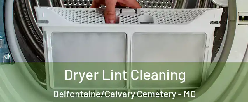 Dryer Lint Cleaning Belfontaine/Calvary Cemetery - MO