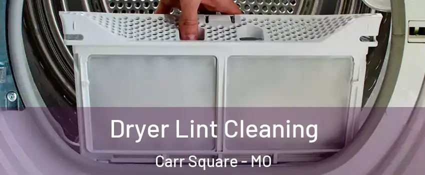 Dryer Lint Cleaning Carr Square - MO