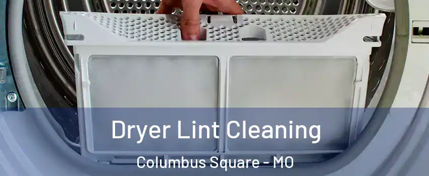 Dryer Lint Cleaning Columbus Square - MO