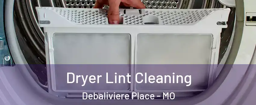 Dryer Lint Cleaning Debaliviere Place - MO