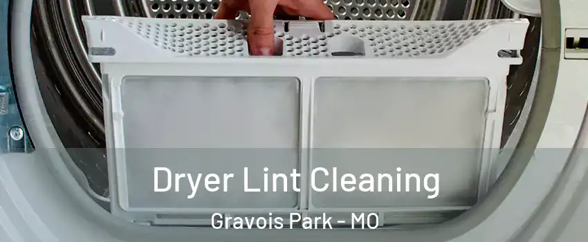 Dryer Lint Cleaning Gravois Park - MO