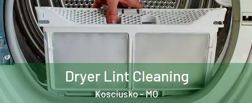 Dryer Lint Cleaning Kosciusko - MO
