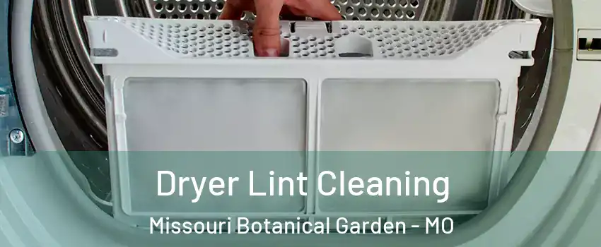 Dryer Lint Cleaning Missouri Botanical Garden - MO