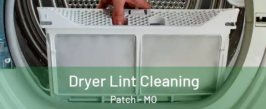 Dryer Lint Cleaning Patch - MO