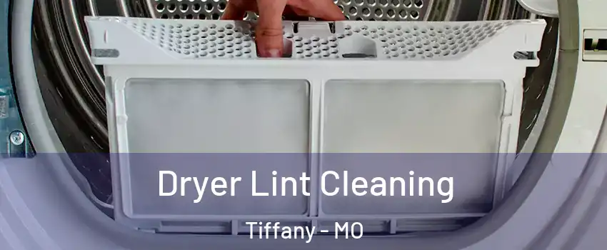 Dryer Lint Cleaning Tiffany - MO