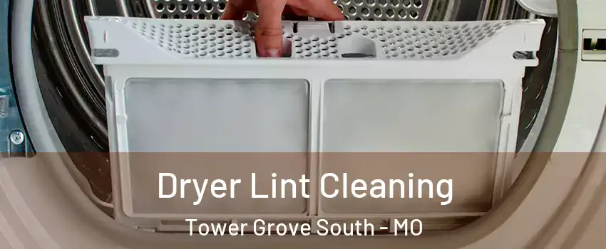 Dryer Lint Cleaning Tower Grove South - MO