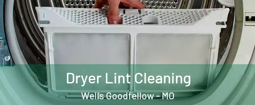 Dryer Lint Cleaning Wells Goodfellow - MO