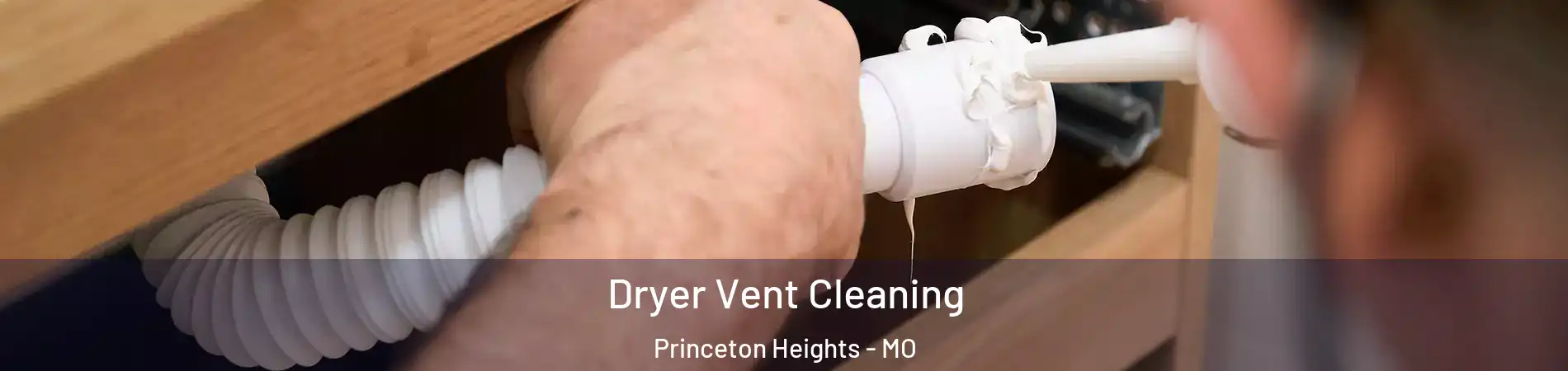 Dryer Vent Cleaning Princeton Heights - MO