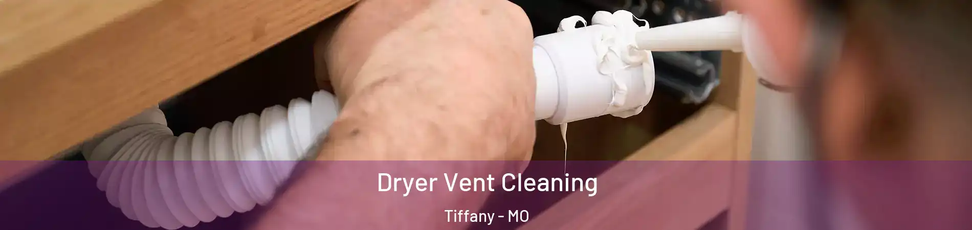 Dryer Vent Cleaning Tiffany - MO