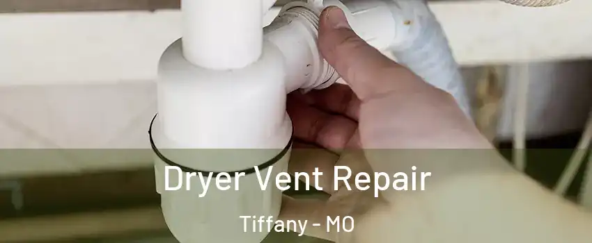 Dryer Vent Repair Tiffany - MO