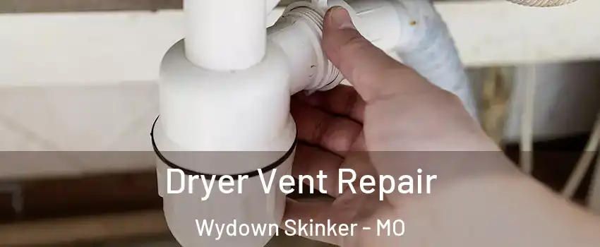 Dryer Vent Repair Wydown Skinker - MO