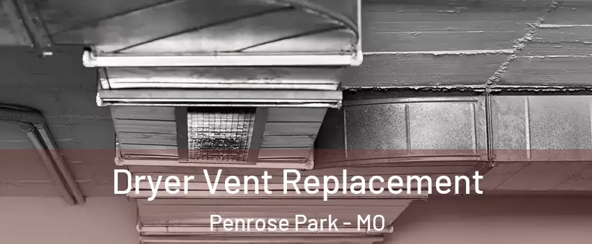 Dryer Vent Replacement Penrose Park - MO