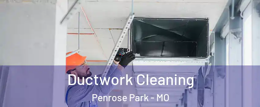 Ductwork Cleaning Penrose Park - MO
