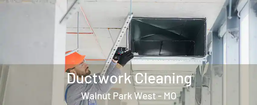 Ductwork Cleaning Walnut Park West - MO