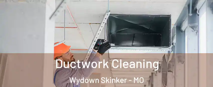 Ductwork Cleaning Wydown Skinker - MO
