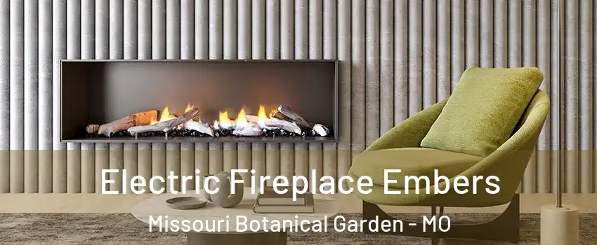 Electric Fireplace Embers Missouri Botanical Garden - MO