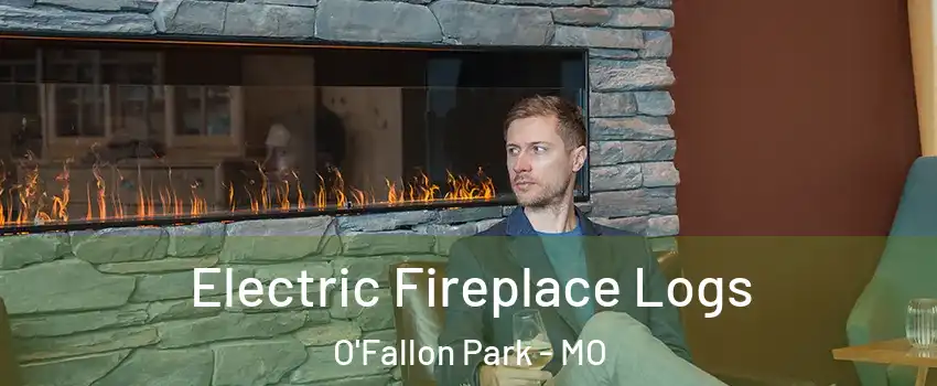 Electric Fireplace Logs O'Fallon Park - MO