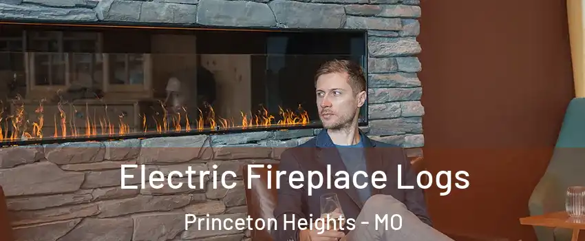 Electric Fireplace Logs Princeton Heights - MO
