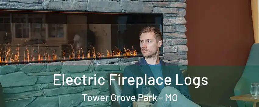 Electric Fireplace Logs Tower Grove Park - MO