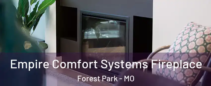 Empire Comfort Systems Fireplace Forest Park - MO