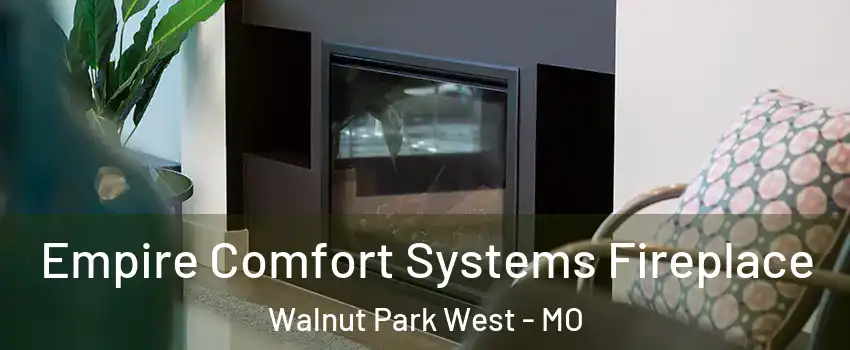 Empire Comfort Systems Fireplace Walnut Park West - MO
