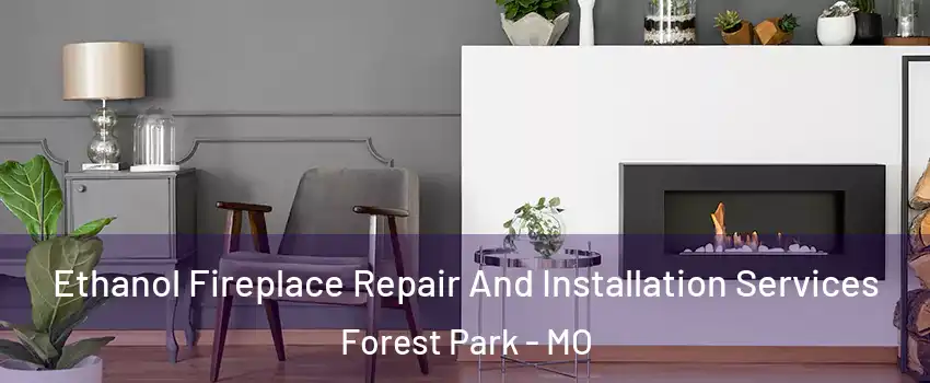 Ethanol Fireplace Repair And Installation Services Forest Park - MO