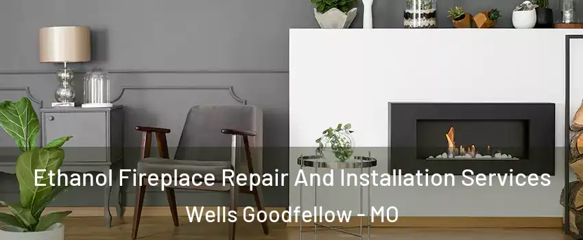Ethanol Fireplace Repair And Installation Services Wells Goodfellow - MO