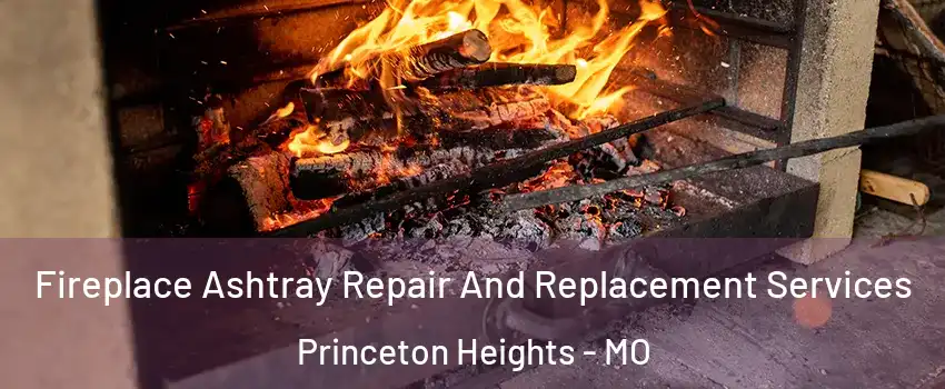 Fireplace Ashtray Repair And Replacement Services Princeton Heights - MO