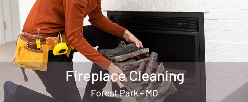 Fireplace Cleaning Forest Park - MO