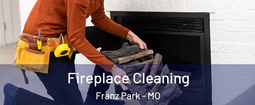 Fireplace Cleaning Franz Park - MO