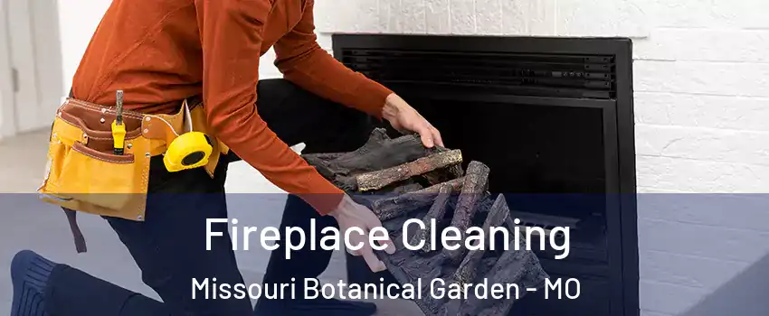 Fireplace Cleaning Missouri Botanical Garden - MO