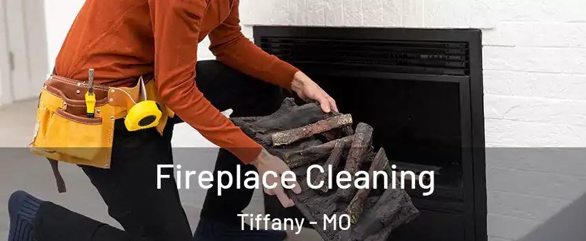 Fireplace Cleaning Tiffany - MO