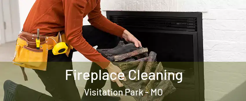 Fireplace Cleaning Visitation Park - MO