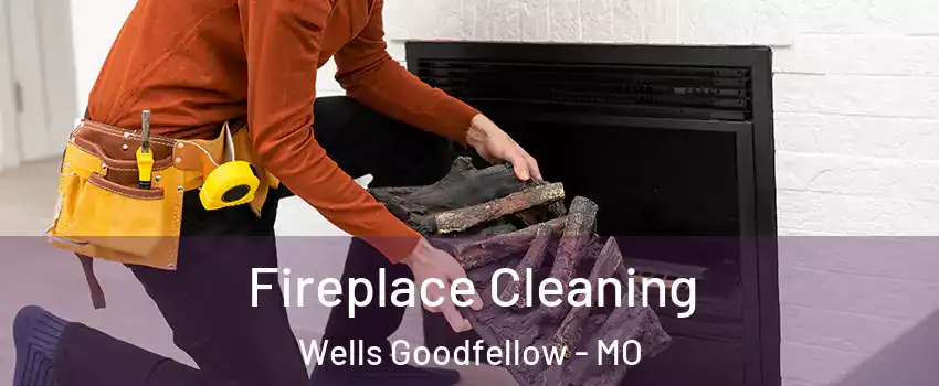 Fireplace Cleaning Wells Goodfellow - MO