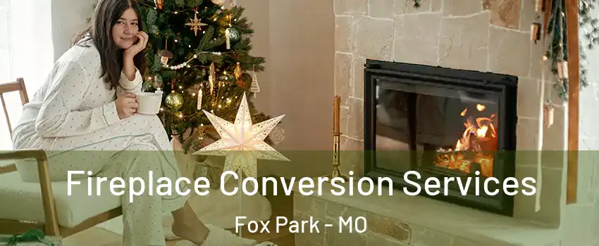 Fireplace Conversion Services Fox Park - MO
