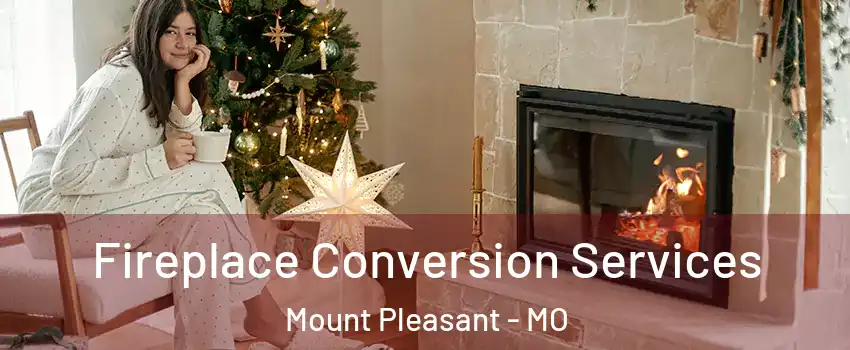 Fireplace Conversion Services Mount Pleasant - MO