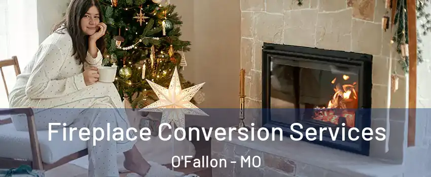 Fireplace Conversion Services O'Fallon - MO